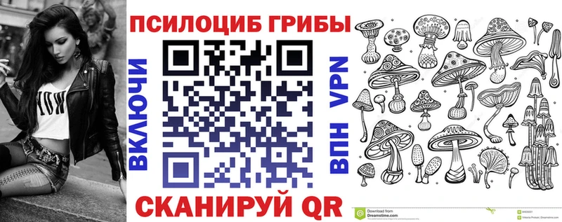 kraken зеркало  Макарьев  Галлюциногенные грибы Magic Shrooms  что такое  